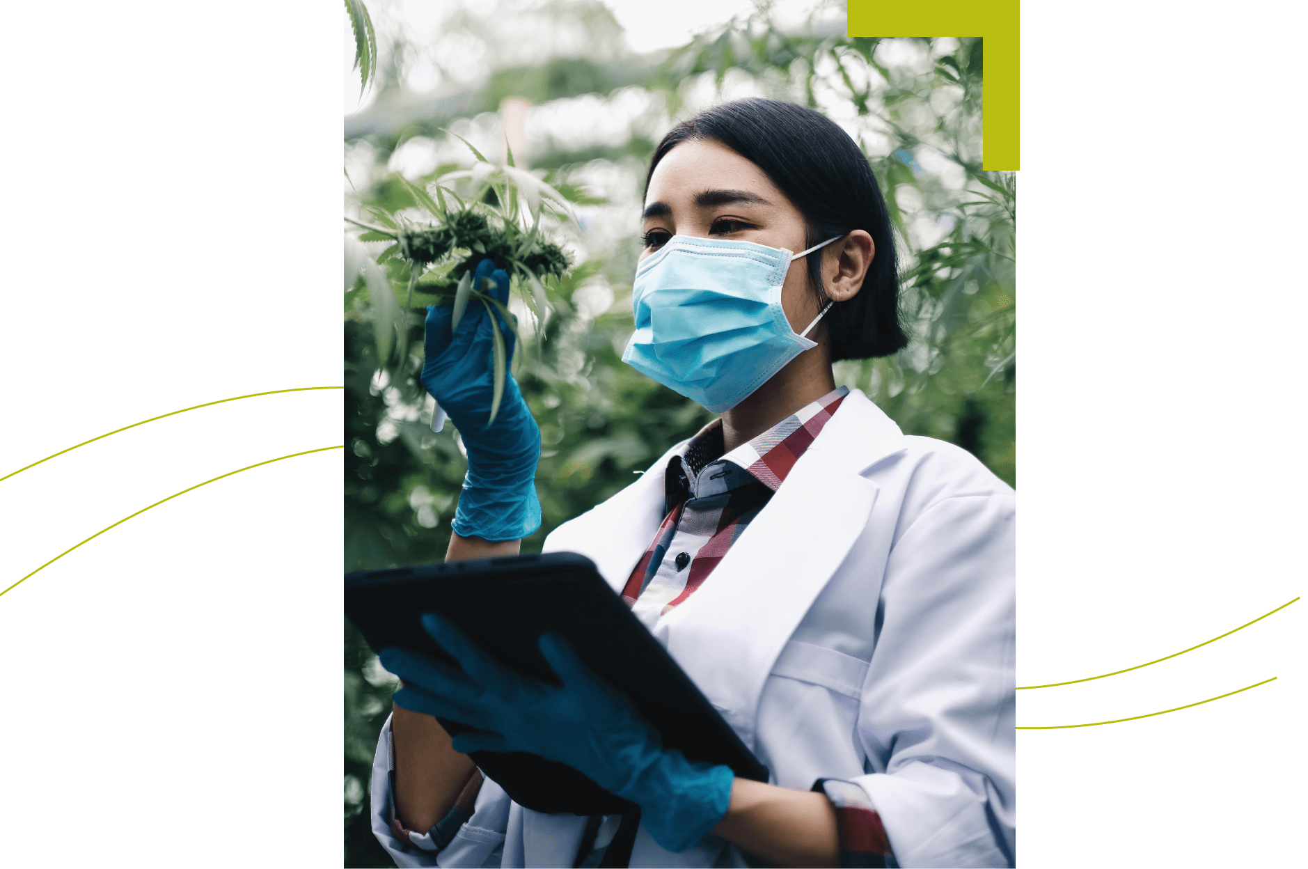 Garota segurando a planta